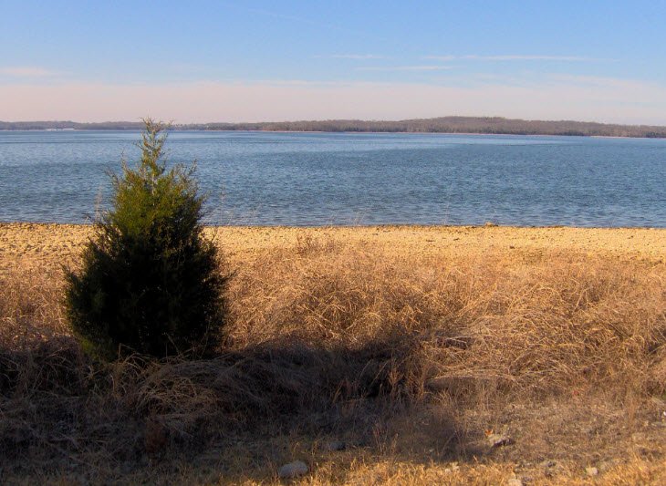 Long Hunter State Park, Tennessee, USA